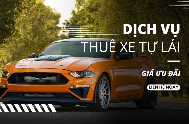 Lý do nên chọn dịch vụ thuê xe tự lái tại địa phương