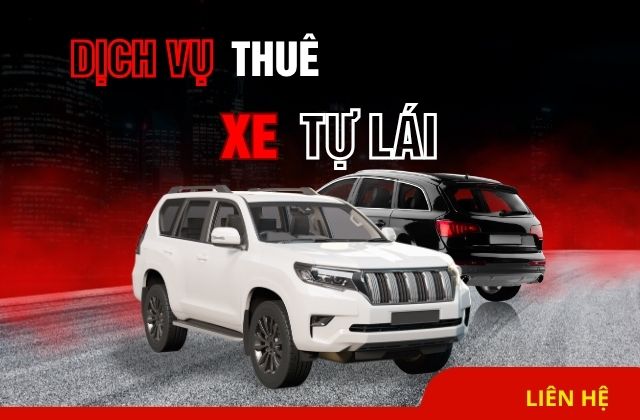 Kinh nghiệm thuê xe tự lái an toàn và tiết kiệm