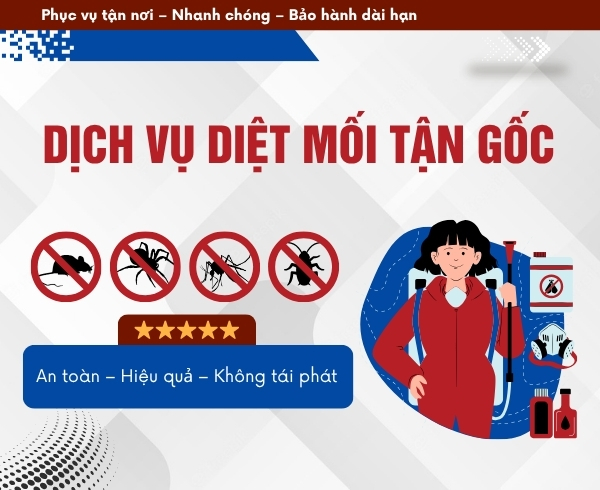 Công ty diệt mối tận gốc Thăng Bình Đà Nẵng