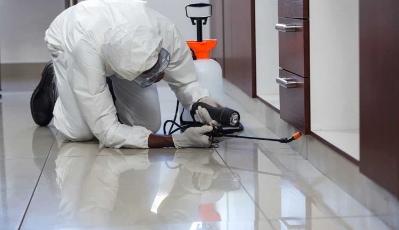 Dịch vụ diệt mối tận gốc Quế Sơn Đà Nẵng