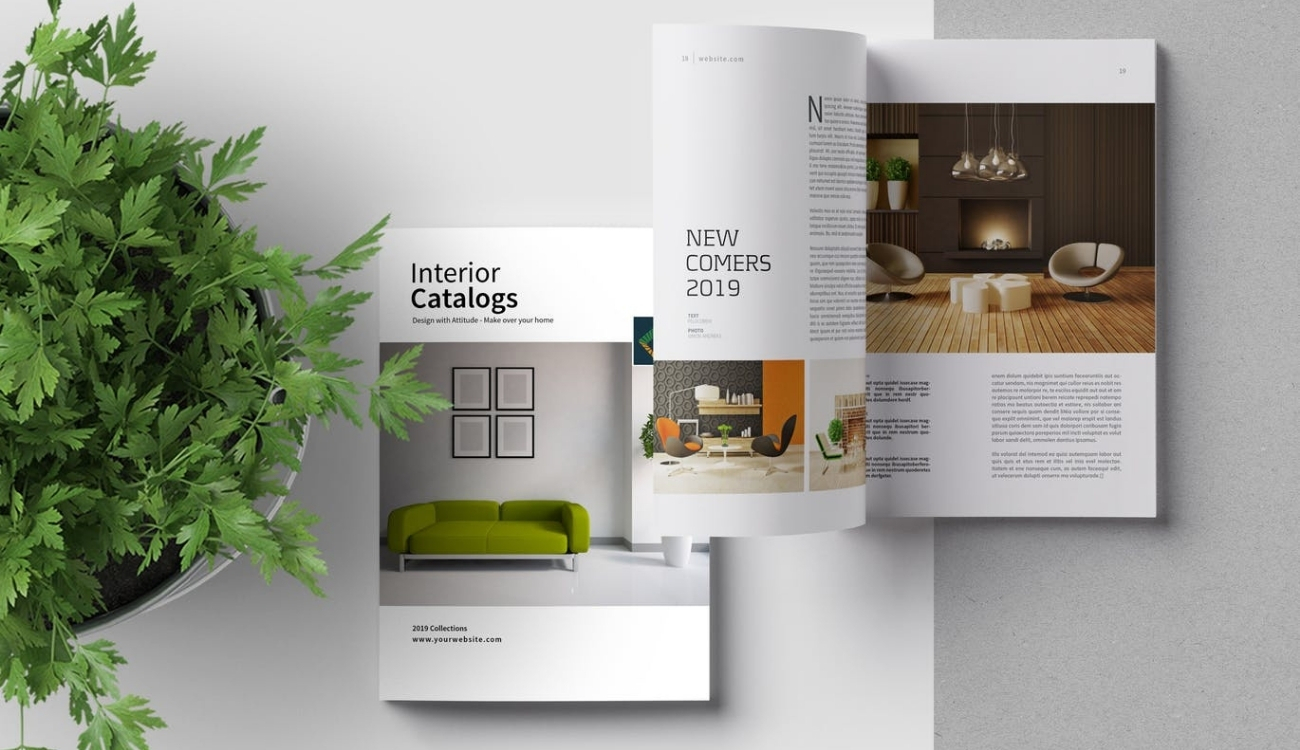 Dịch vụ thiết kế catalogue công ty Cà Mau